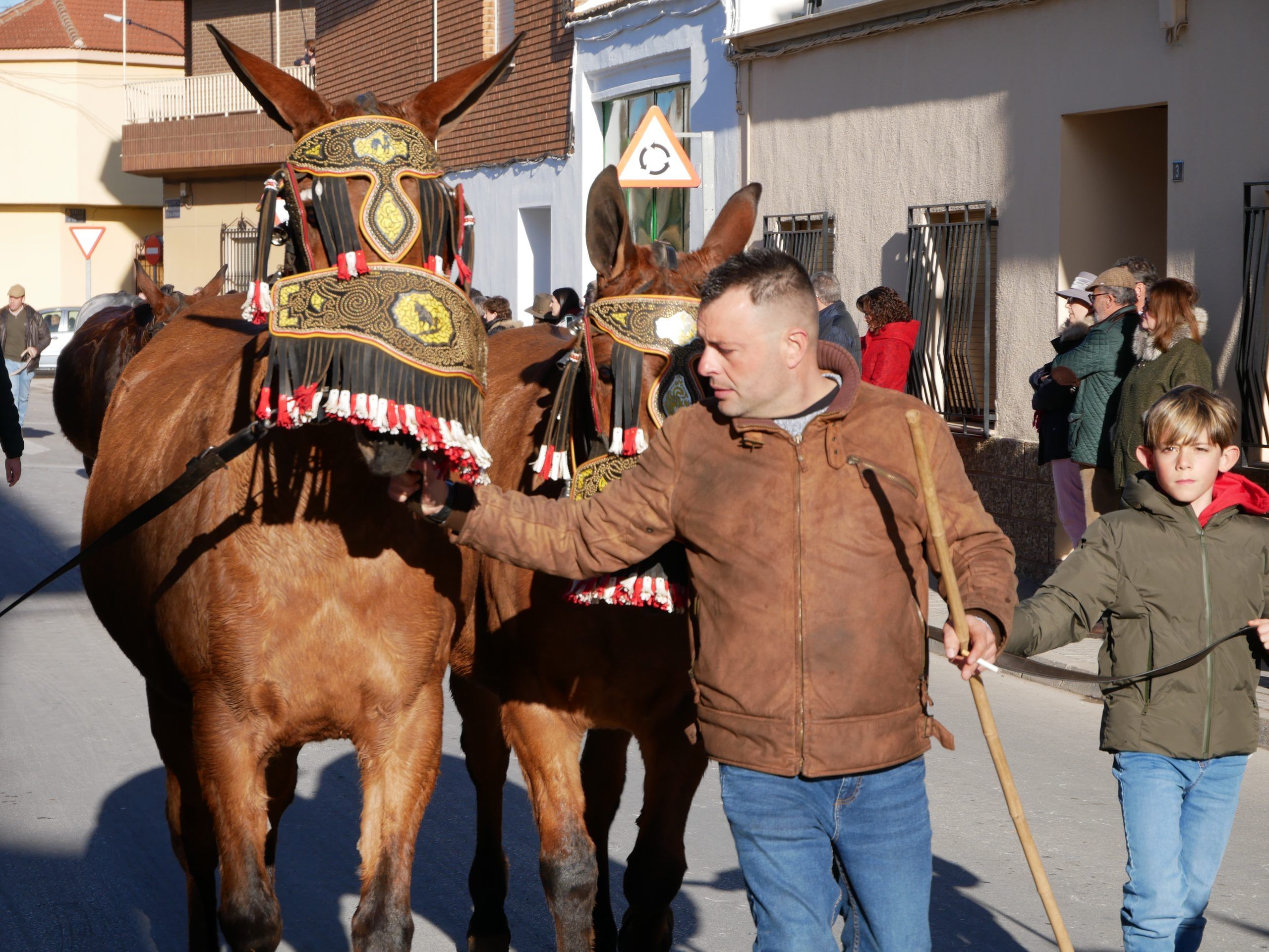 Socuéllamos celebra este sábado los actos centrales de San Antón con el desfile y bendición de animales