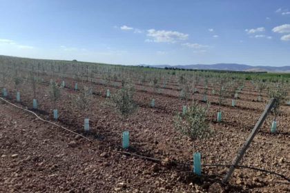 ASAJA CLM critica la confusión generada sobre el Tajo-Segura y reclama unidad en la defensa del agua para la región