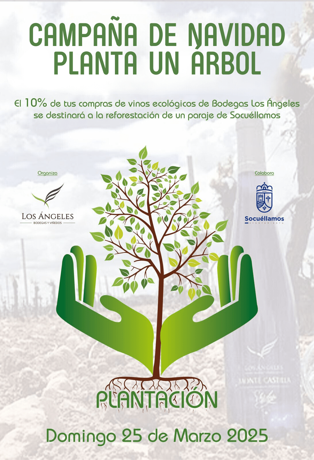 Bodegas Los Ángeles lanza la campaña “Planta un Árbol” con motivo de la Navidad