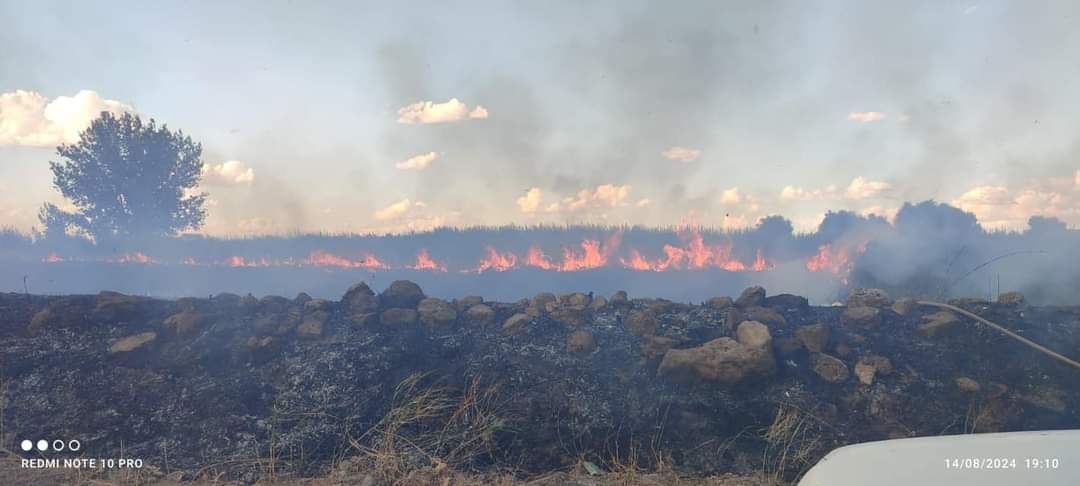 Continúan los incendios en el término municipal de Socuéllamos
