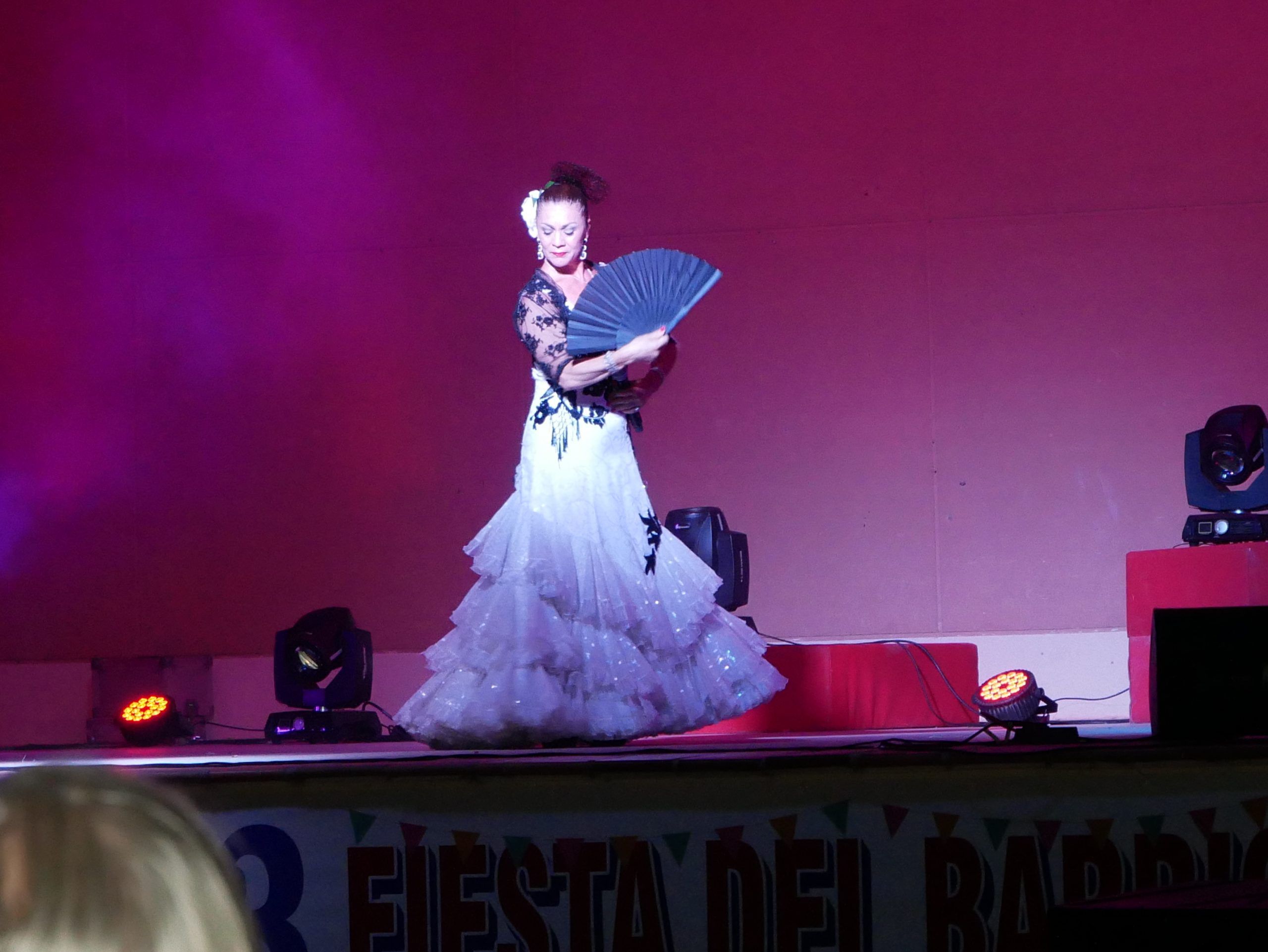 Copla, magia y humor para la noche del sábado en las Fiestas del Barrio Casqueral y Estación
