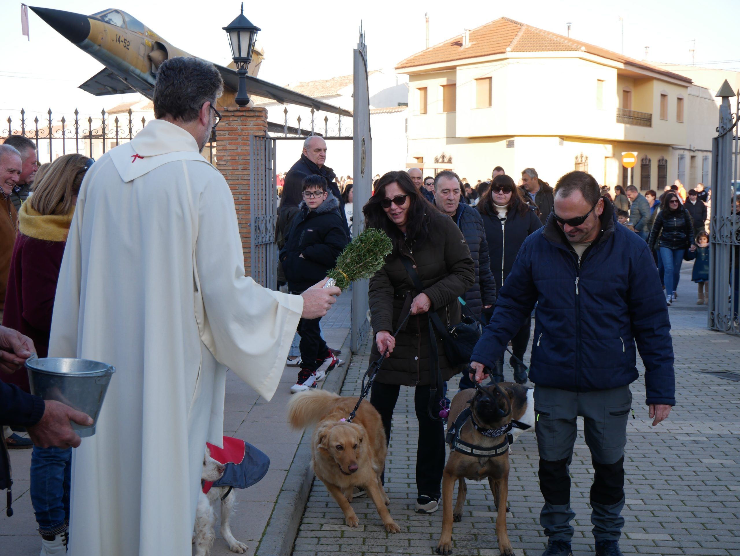 Galería fotográfica de la Procesión y bendición de animales de San Antón