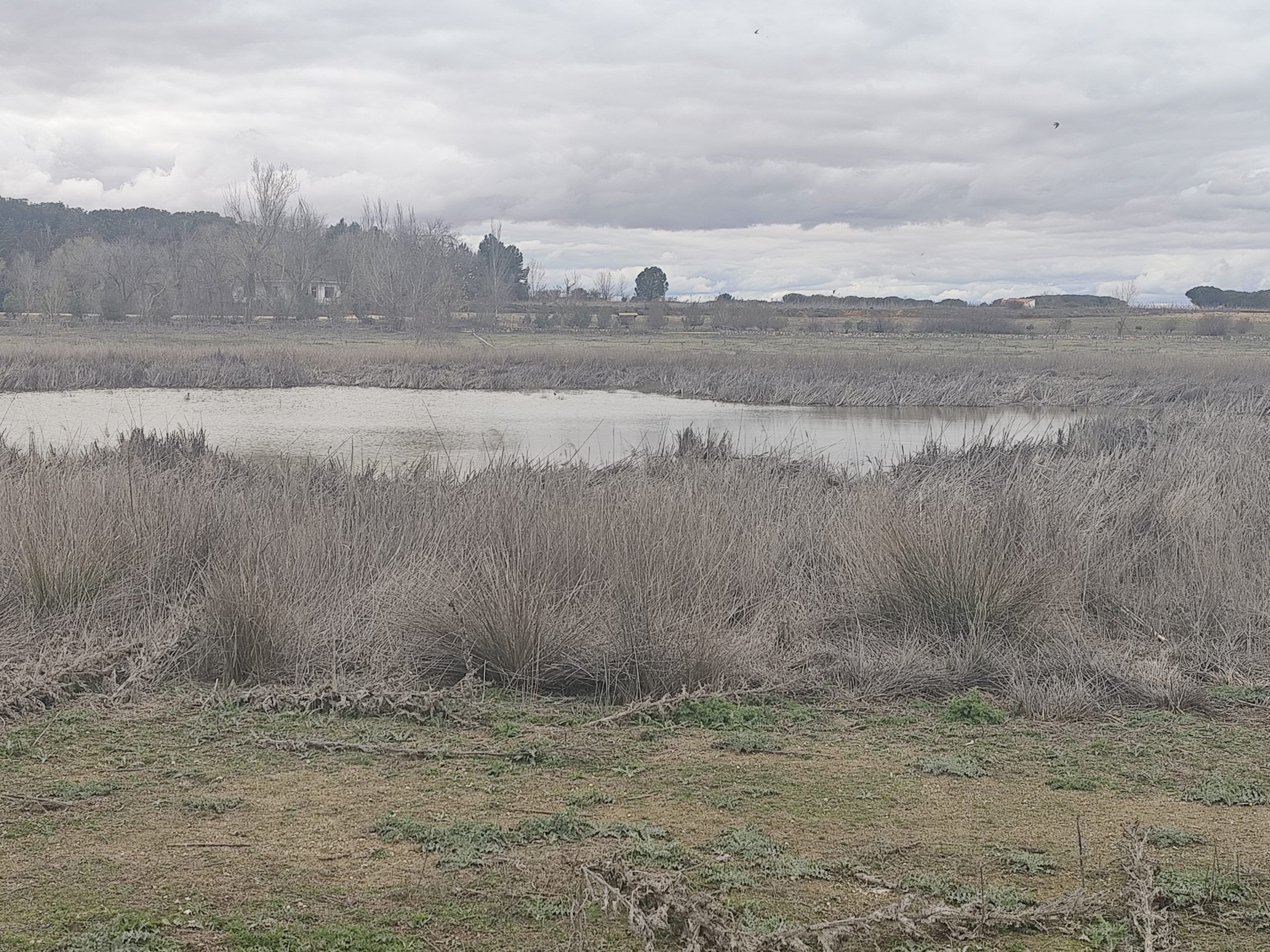 La Laguna de La Celadilla vuelve a tener agua tras años de sequía: una esperanza para la comarca