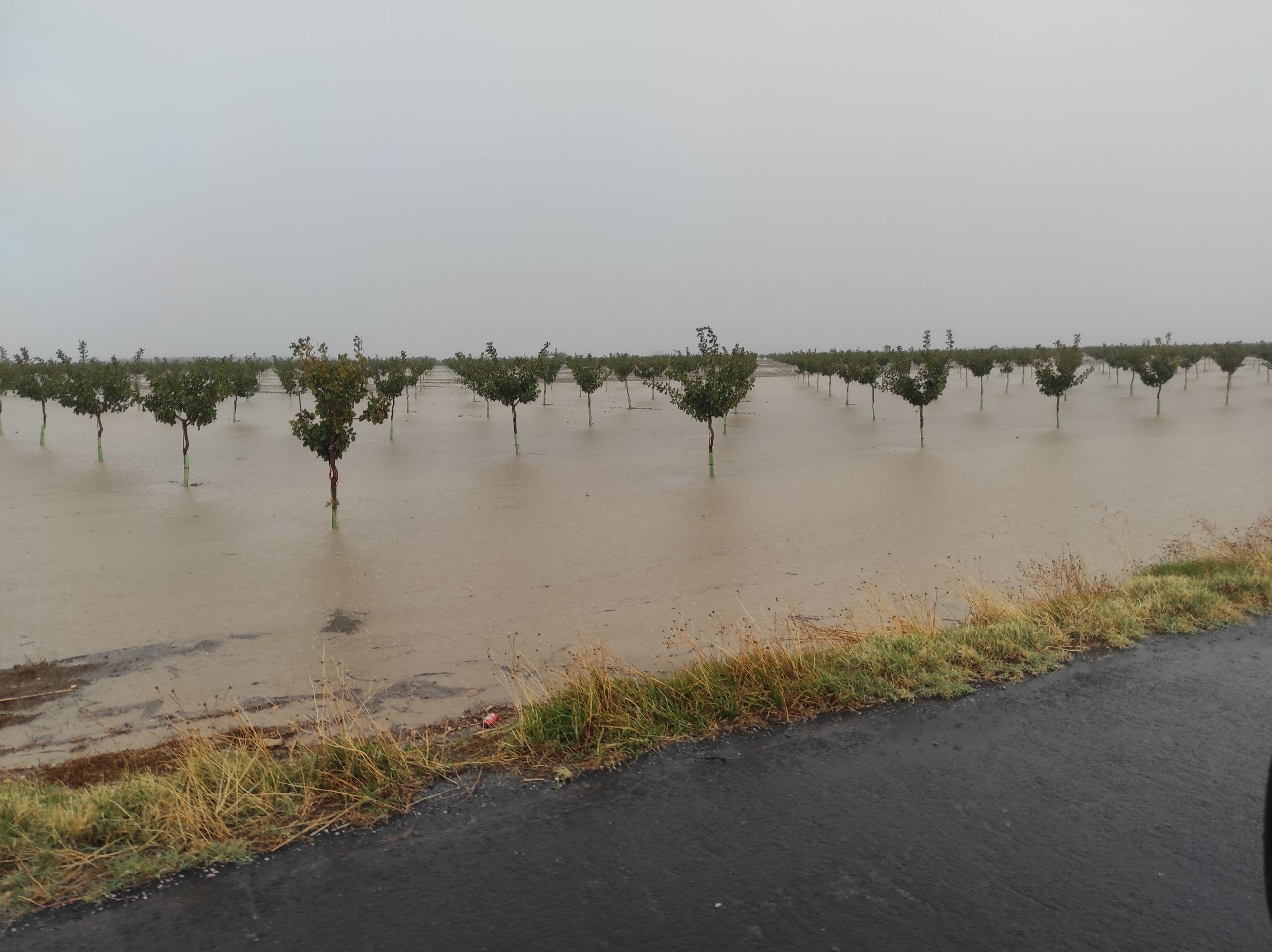 Lunes marcado por la tormenta Herminia: lluvias intensas y alerta amarilla por fuertes vientos en Socuéllamos