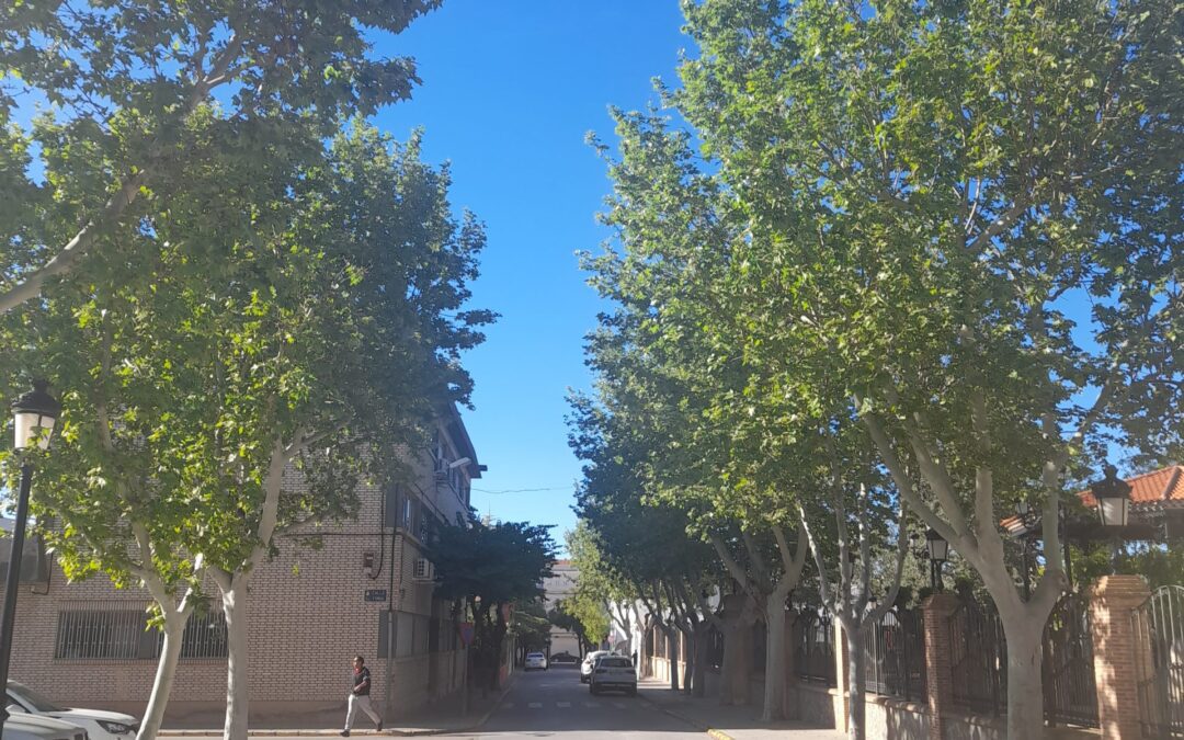 Sábado de pleno calor en Socuéllamos: se alcanzarán los 36 grados