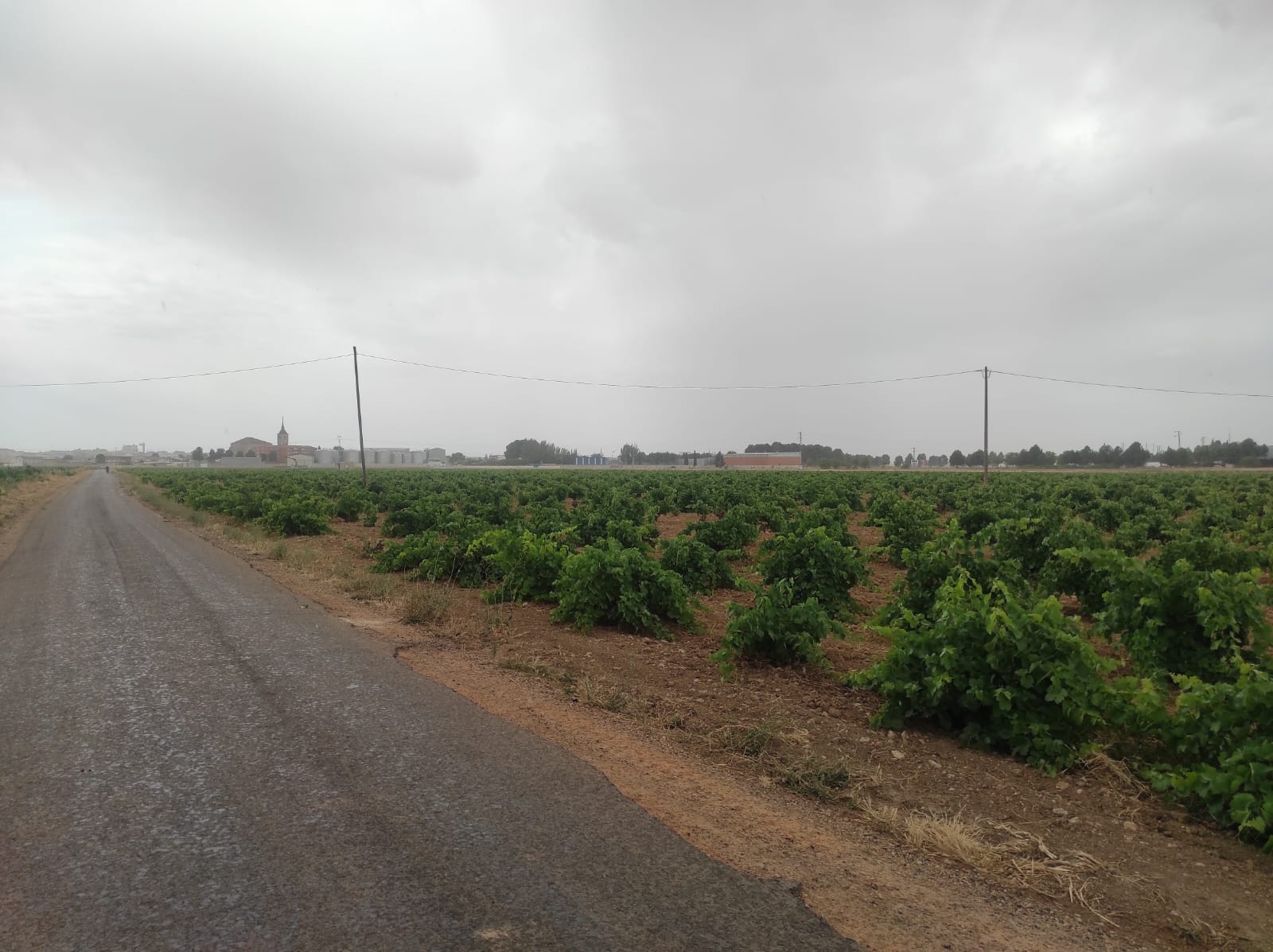 Viernes marcado por el mal tiempo en Socuéllamos: lluvias persistentes, viento y aguanieve
