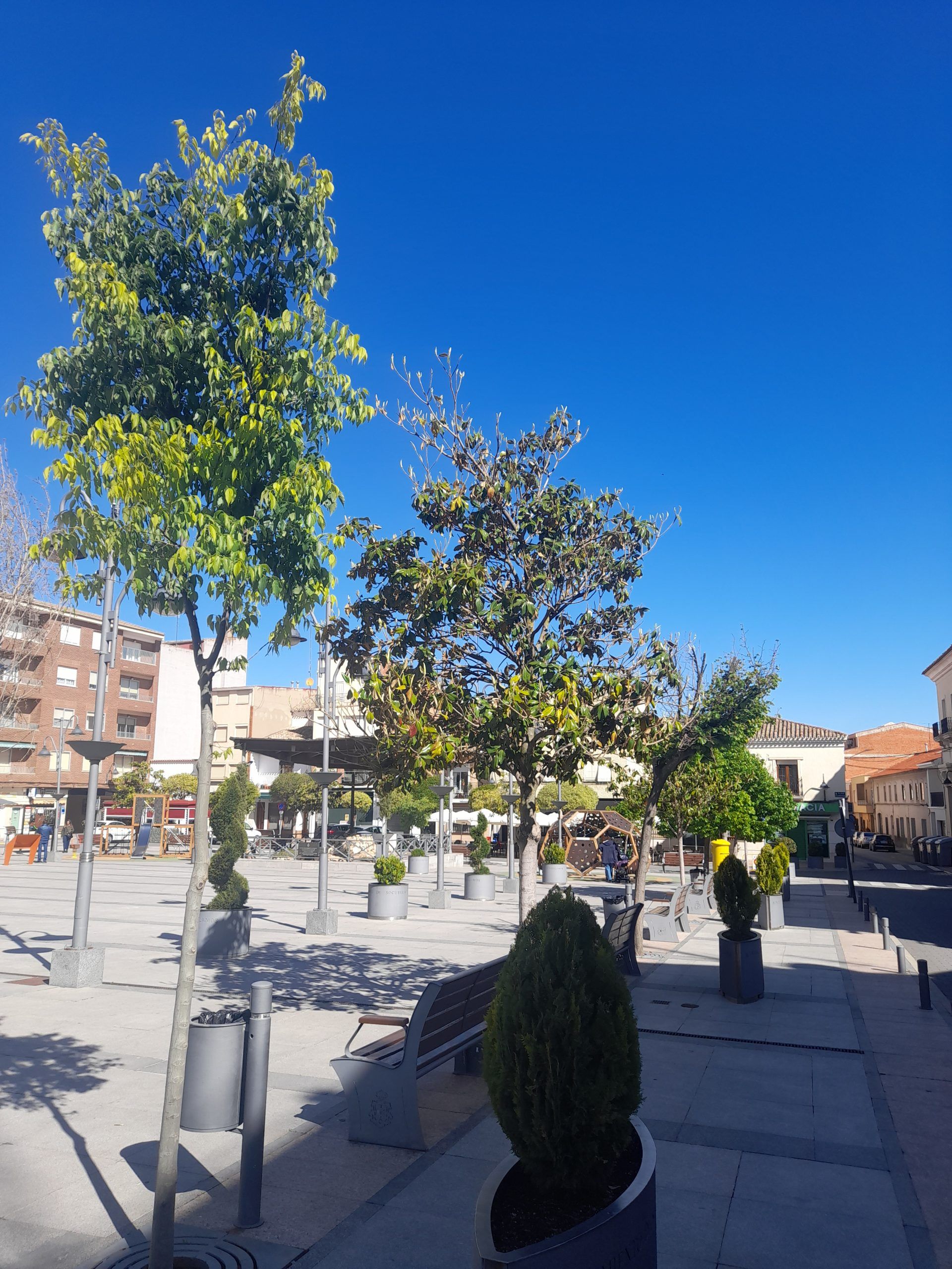 Previsión del tiempo para hoy lunes en Socuéllamos: jornada más templada, pero marcada por la lluvia