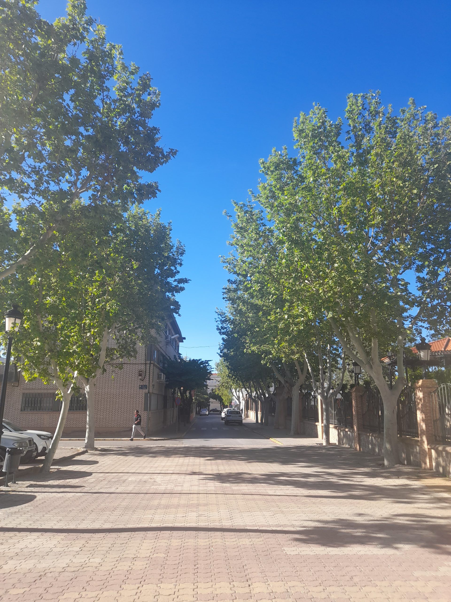 Jornada estable y ventosa este martes en Socuéllamos, con frío moderado