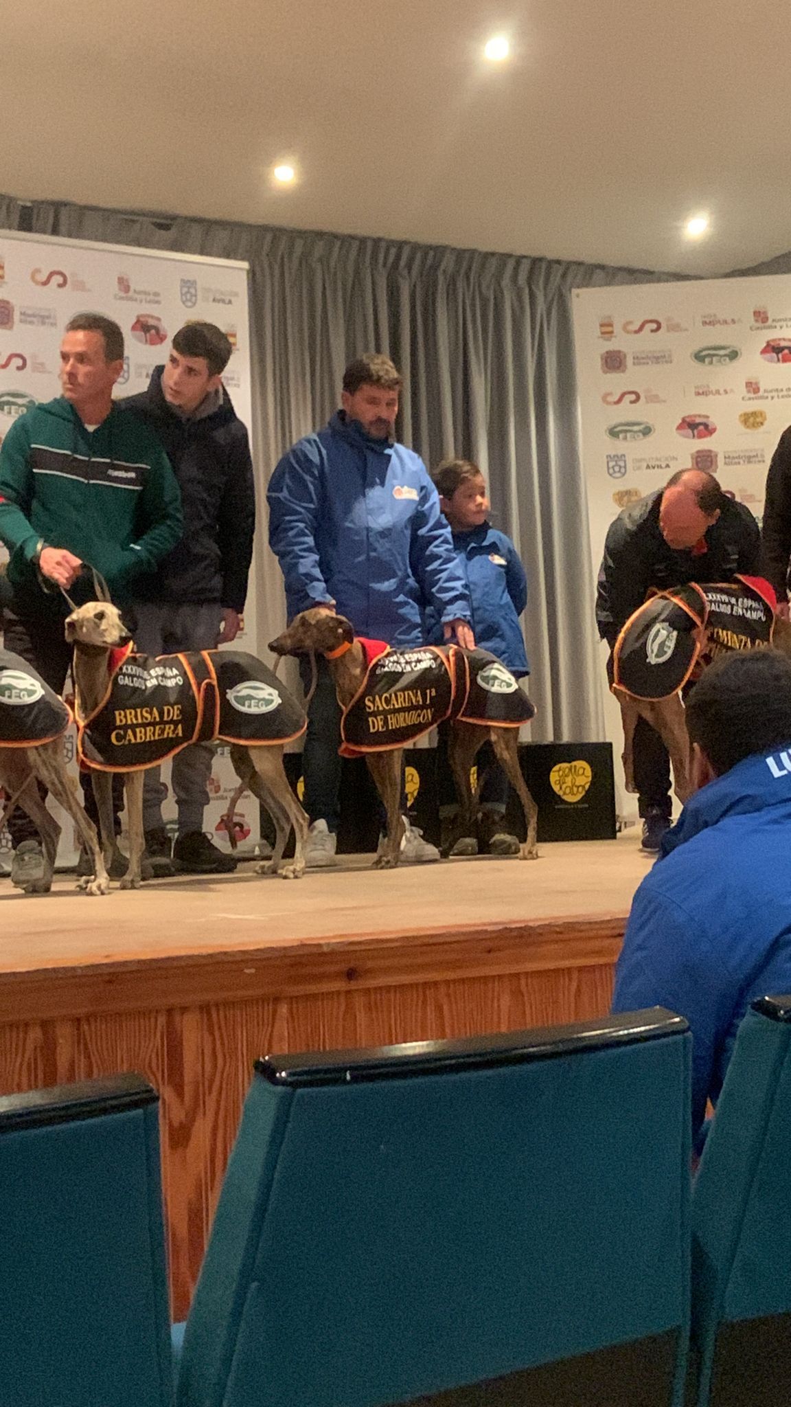 Sacarina I de Hormigón se despide con orgullo del Campeonato de España