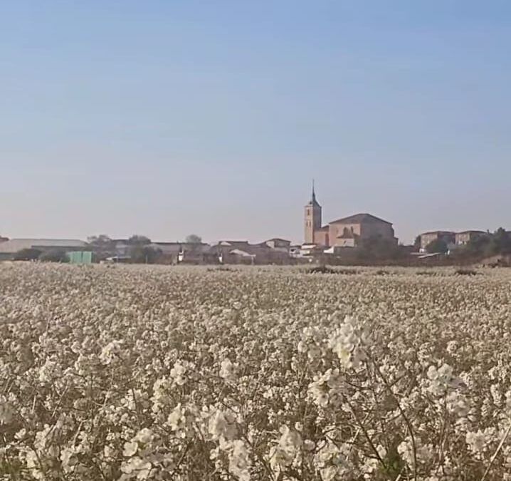 Socuéllamos afronta este viernes con temperaturas altas y ambiente estable