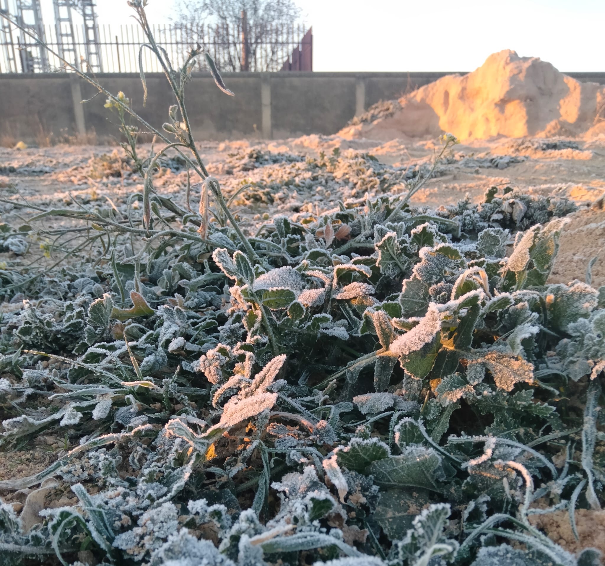 Sigue el intenso frío en Socuéllamos este martes