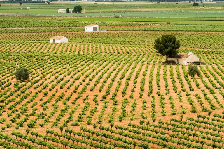 Socuéllamos, protagonista del prestigioso blog «Vagamundos Viajeros»