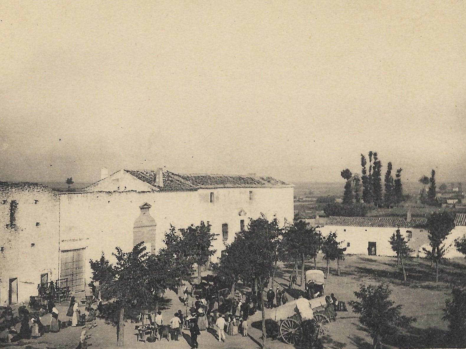 ¿Cómo era nuestra plaza de la Constitución en 1903?