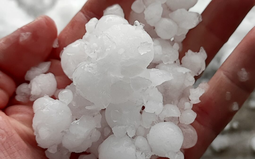 Una breve pero intensa granizada cae en Socuéllamos
