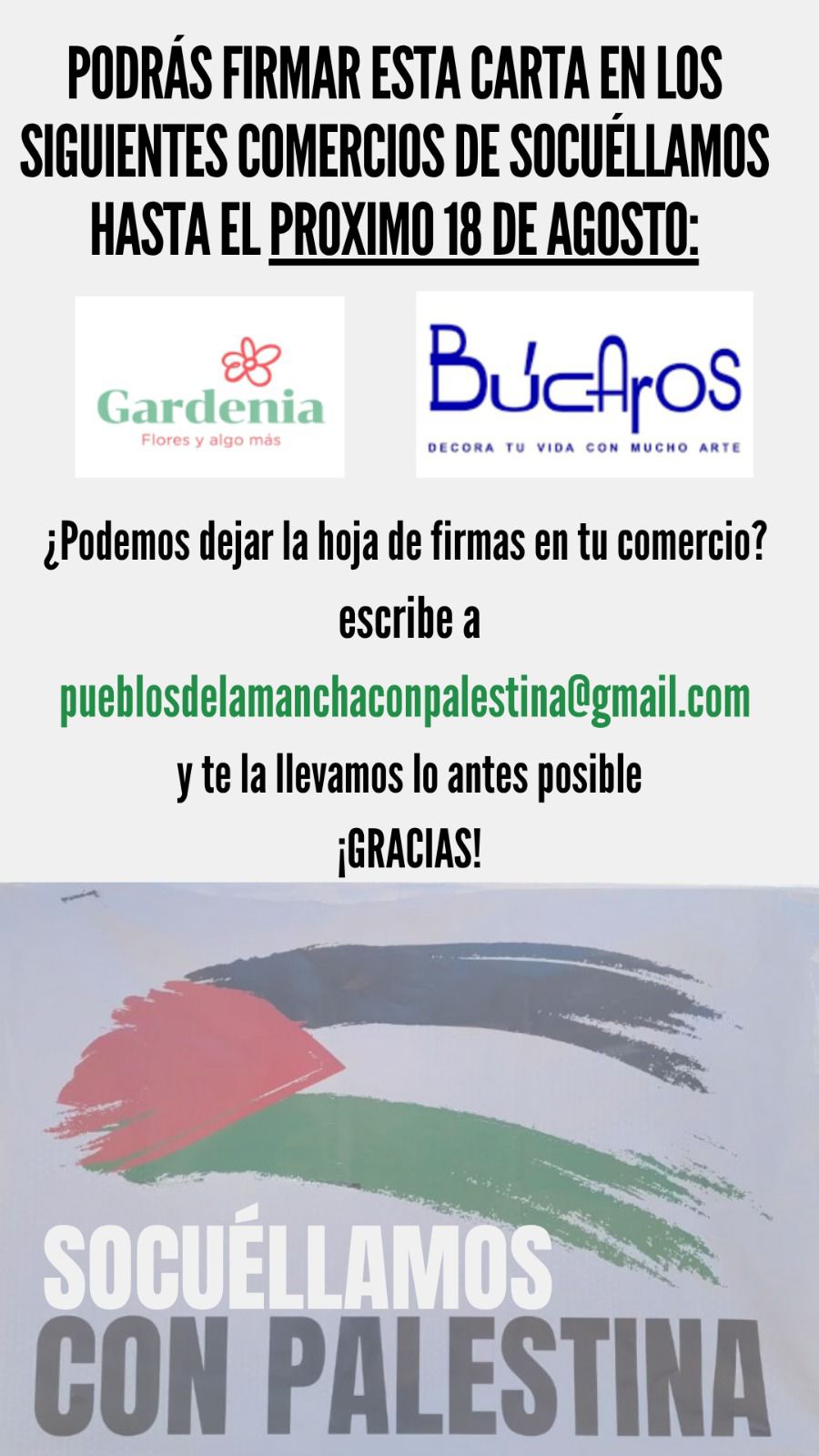 Vecinos de Socuéllamos impulsan una recogida de firmas en apoyo a Gaza