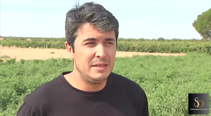 La familia Alcolea y sus tomates morunos, protagonistas en CMM