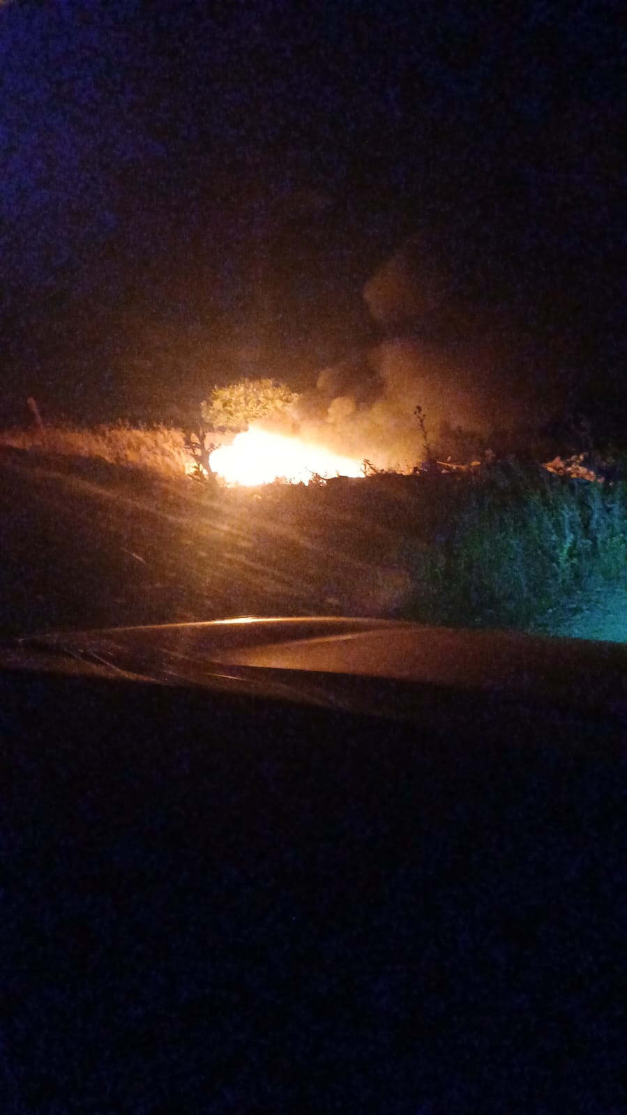 Incendio en las inmediaciones de la carretera del Bonillo