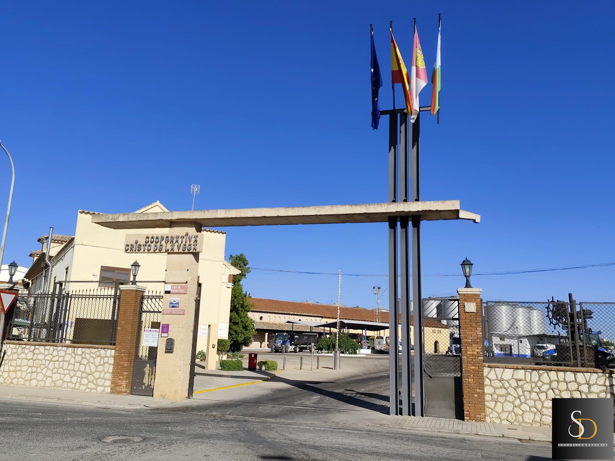 Menos cantidad pero buena calidad: balance inicial de la vendimia en la Cooperativa Cristo de la Vega