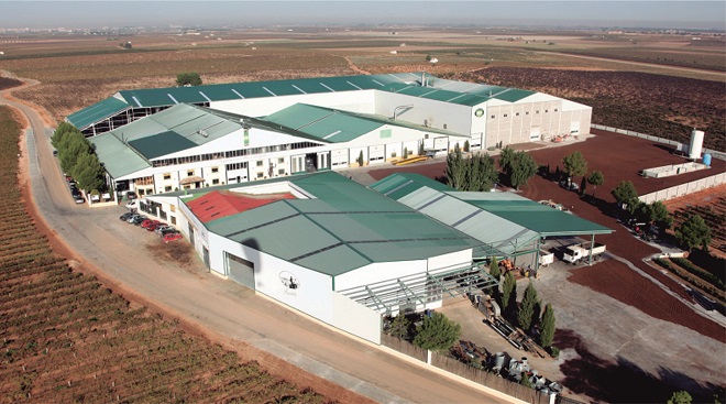 El Airén Pago Delgado obtiene la Medalla de Oro en los premios Ecoracimo 2025