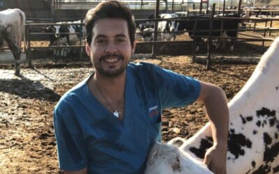 Artículo de Pedro Javier Vallejo Mateo sobre la situación de la Gripe aviar y Peste Porcina Africana