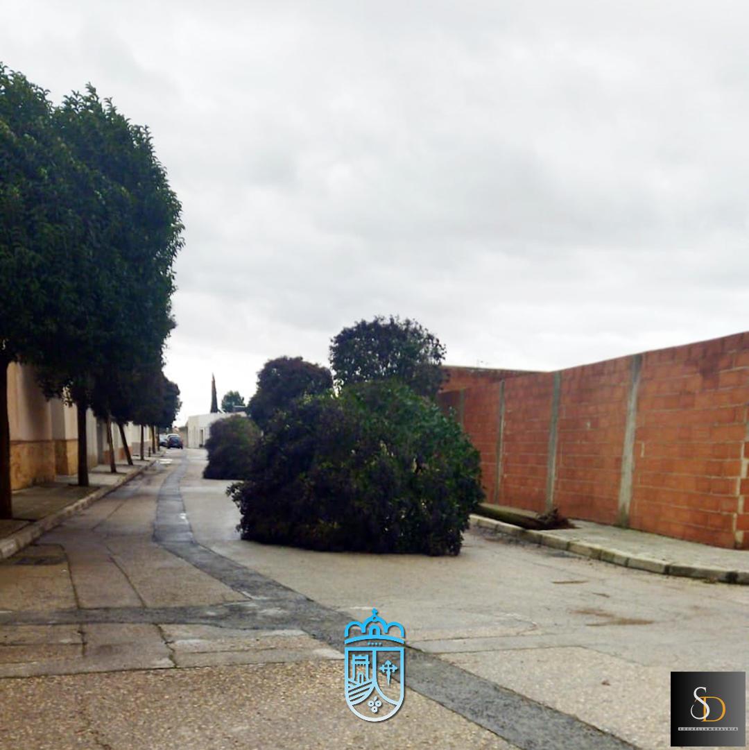 El Ayuntamiento de Socuéllamos pide extremar la precaución ante las fuertes rachas de viento
