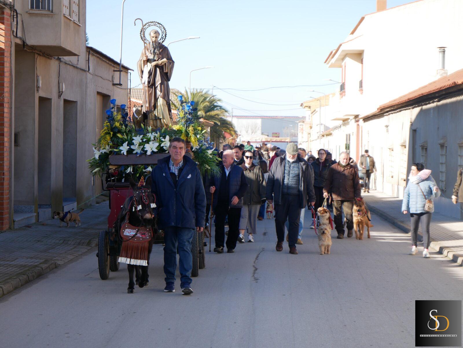 Los animales toman protagonismo en la procesión de San Antón celebrada este domingo