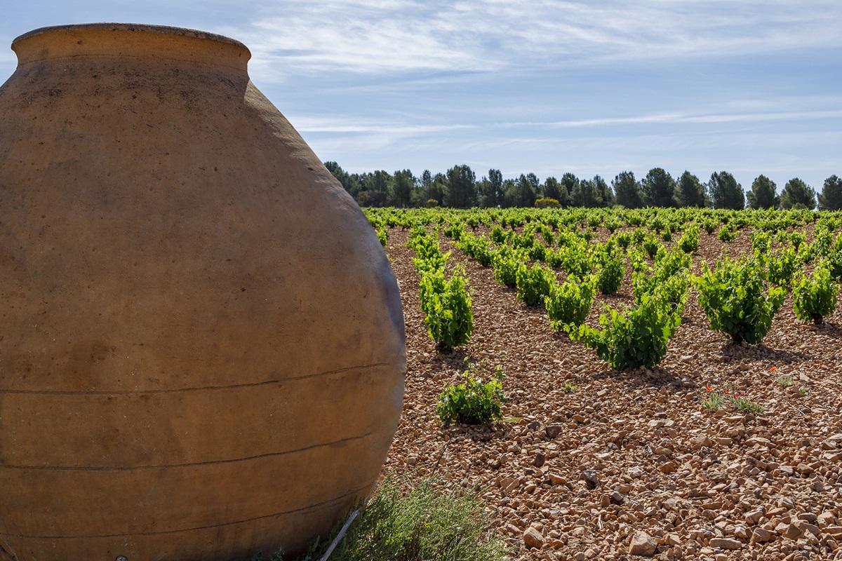 El viñedo inscrito en la DO La Mancha desciende un 1,47% en 2025, aunque mantiene su liderazgo en Europa