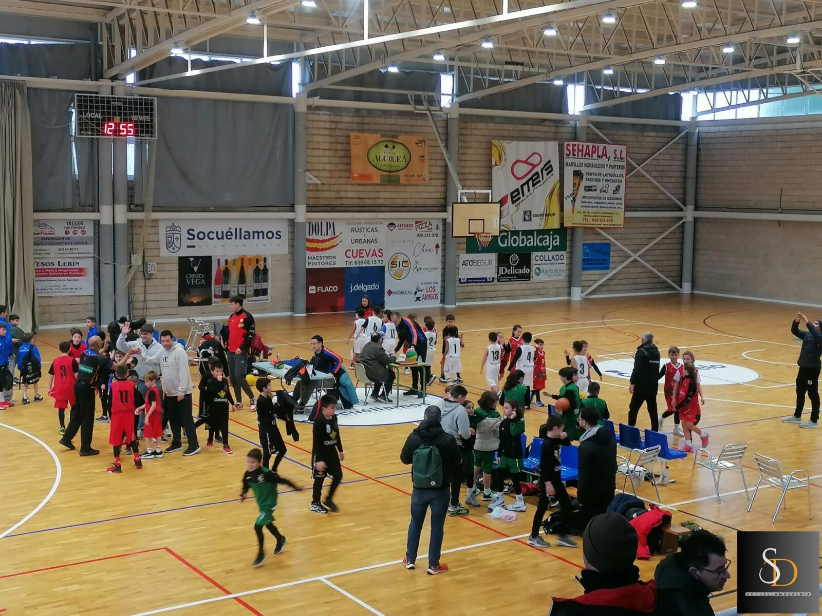 El Torneo Benjamín Globalcaja reúne al baloncesto base durante toda la mañana en el Pabellón Roberto Parra