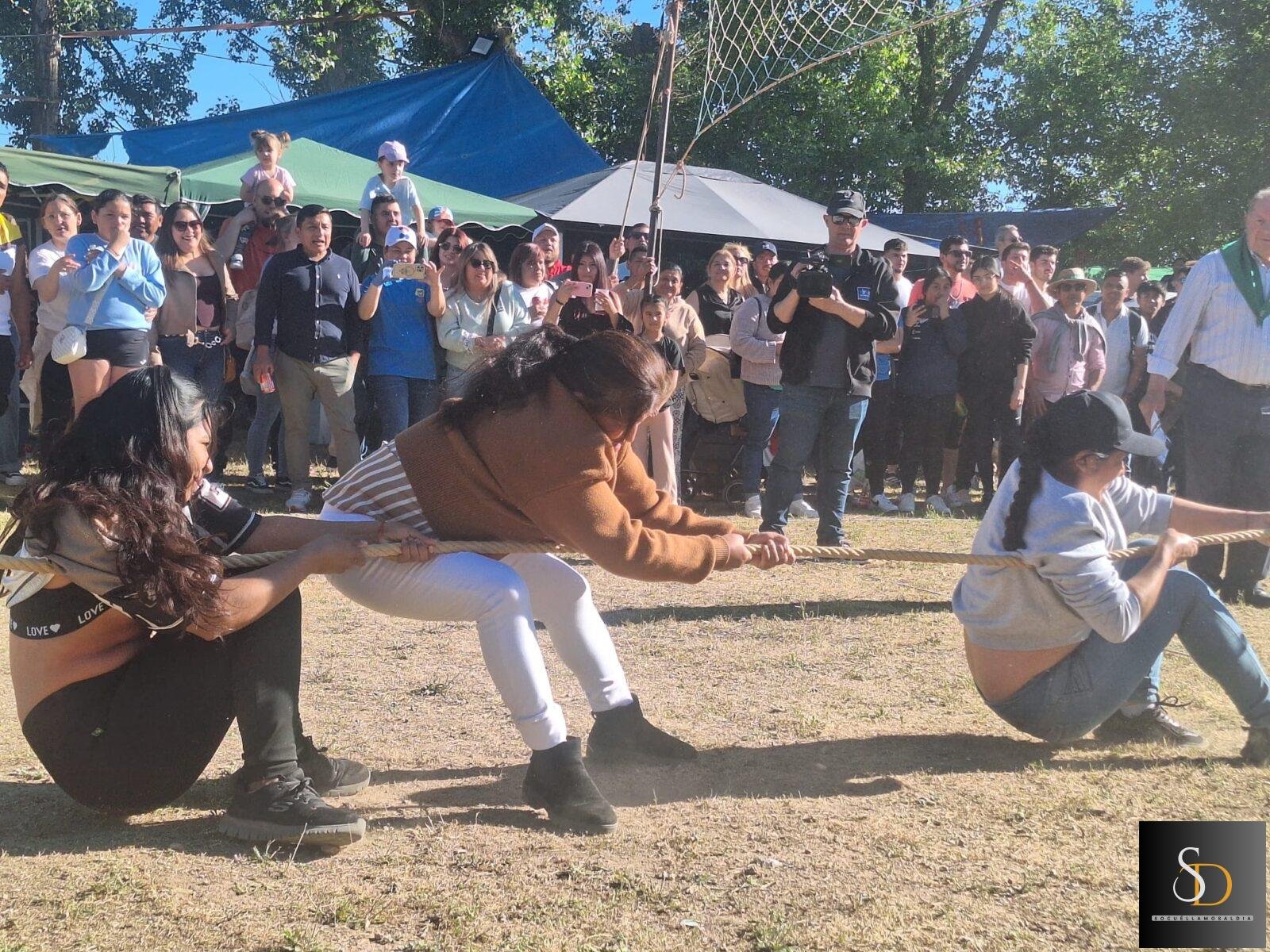 El tradicional tiro de cuerda reúne a numeroso público en la Romería de San Isidro