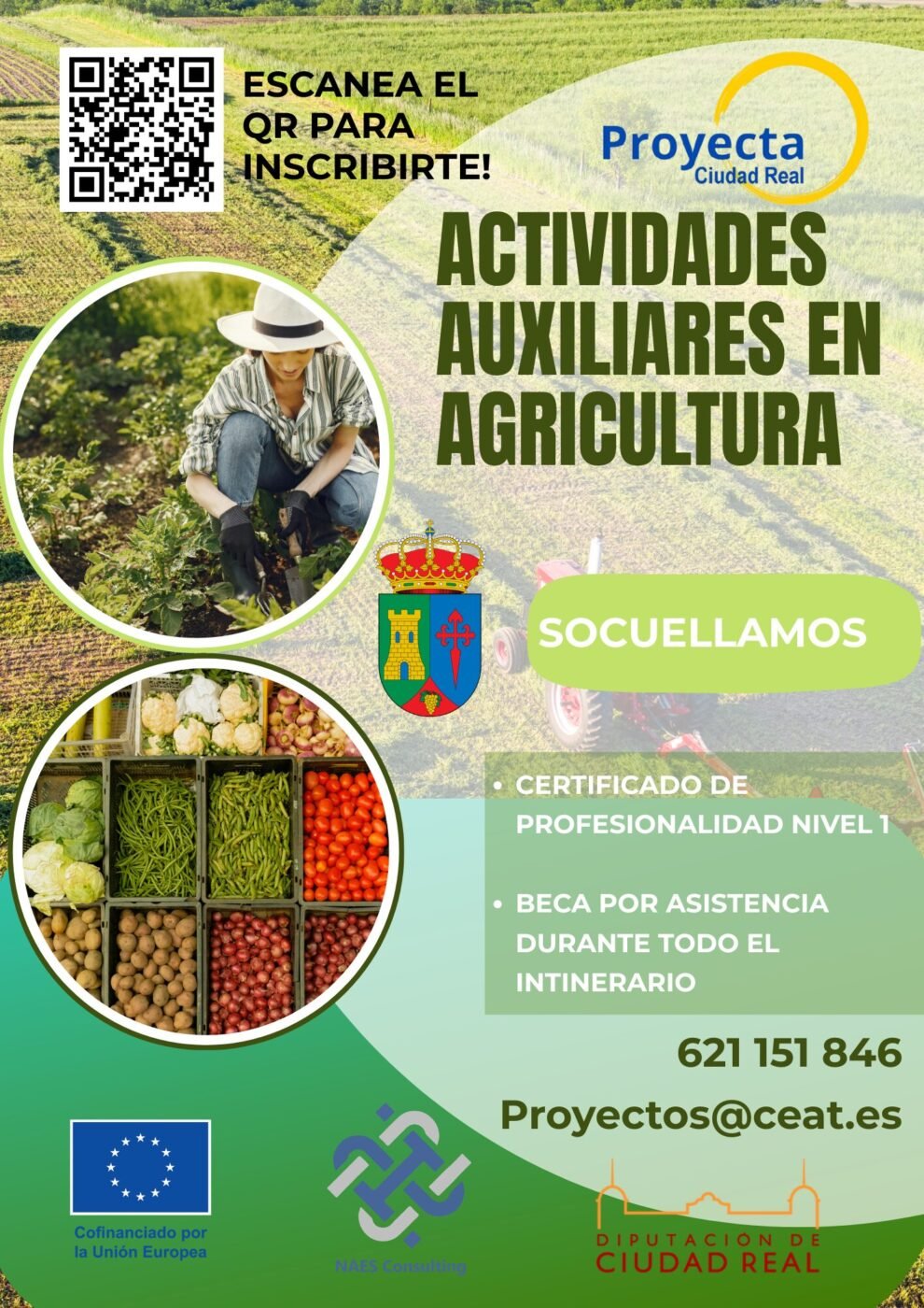 Socuéllamos ofrecerá formación agrícola gratuita con becas para personas desempleadas