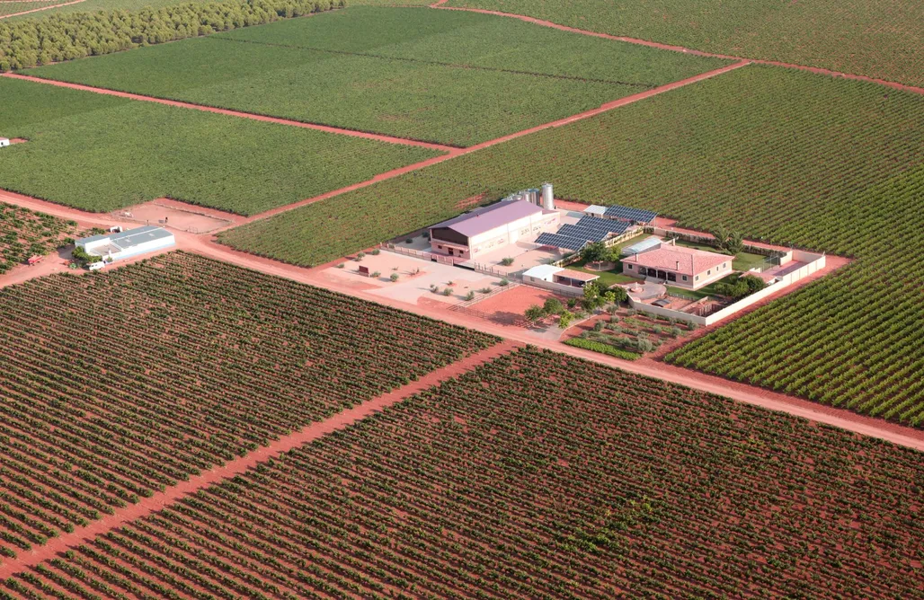 Diecisiete bodegas y casi dos siglos de historia: el Patio del Vino bate su récord en Socuéllamos