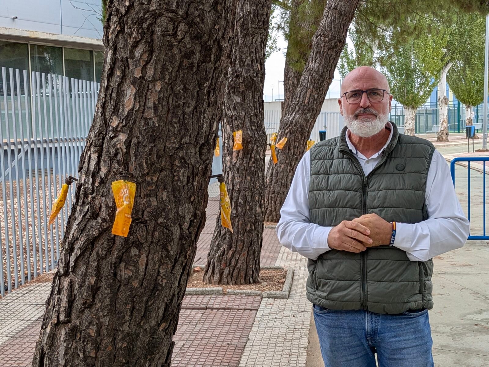 Socuéllamos inicia los tratamientos para proteger los pinos frente a la procesionaria